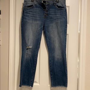 Kut from the Kloth button up jeans